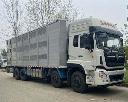 �S�݌���܇�DƬ